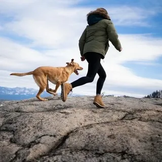 Riding With Your Dog and Making Outdoor Trips More Enjoyable