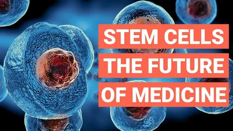 The Future of Regenerative Medicine: Navigating the Path of Stem Cell Transplantation