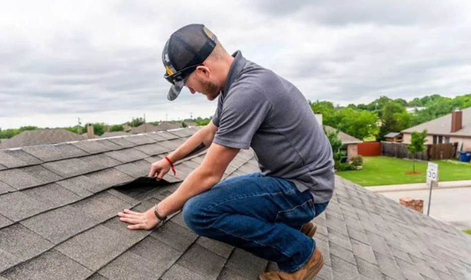 Choosing the Best Roofing Contractors for Roof Replacement in Auckland