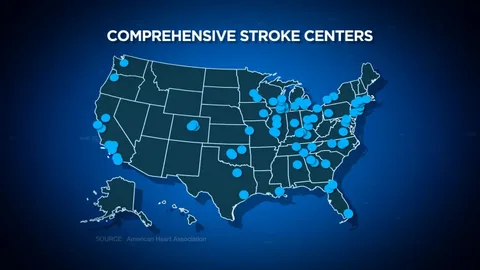 Advanced Interventions and Rapid Response: The Lifesaving Impact of a Dedicated Stroke Facility
